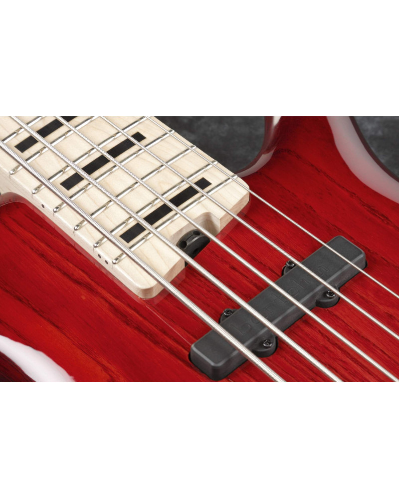 Ibanez ANB205-TWB Adam Nitti Signature Electric Bass 5-String - Transparent Wine Red Burst + Premium Softcase