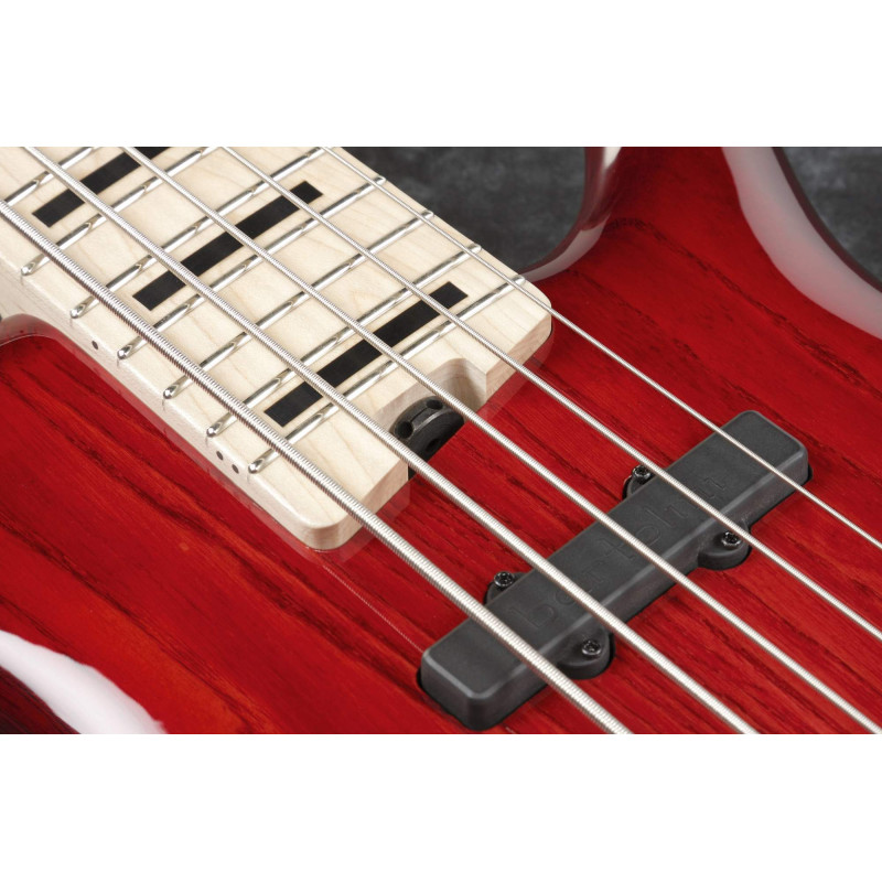 Ibanez ANB205-TWB Adam Nitti Signature Electric Bass 5-String - Transparent Wine Red Burst + Premium Softcase