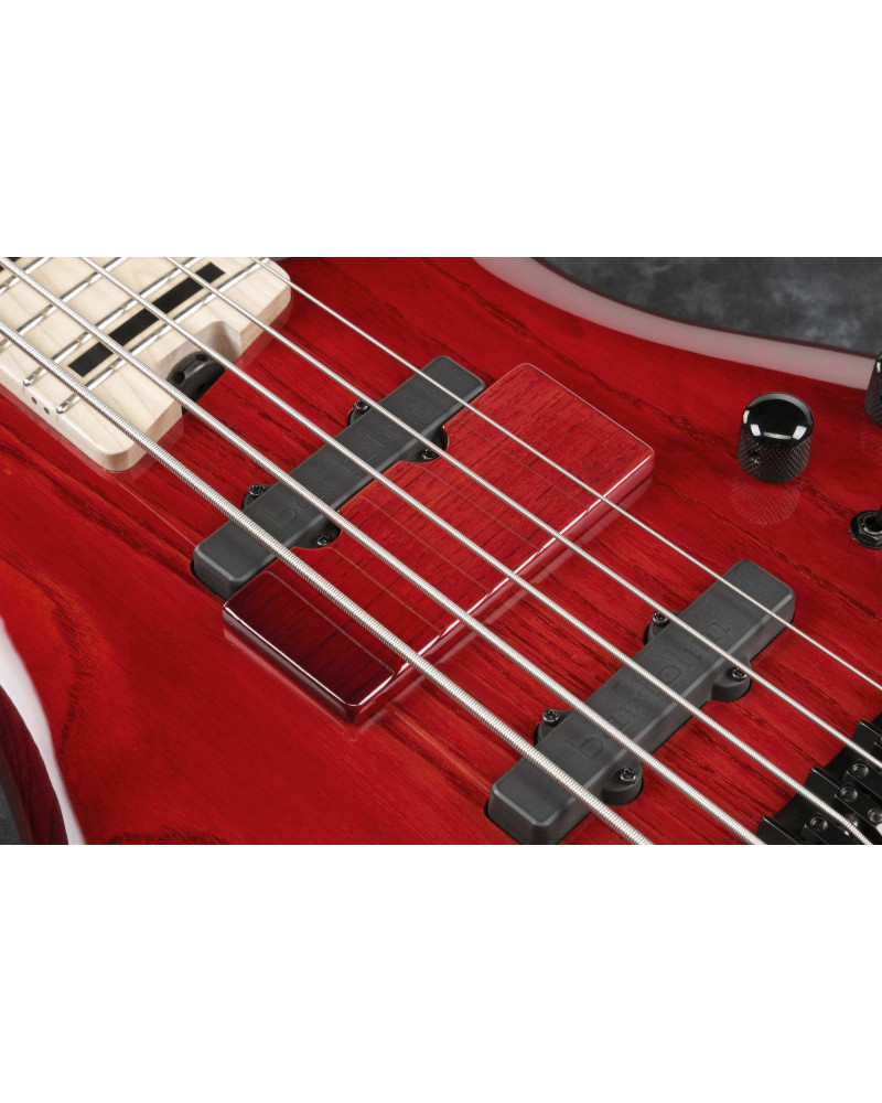 Ibanez ANB205-TWB Adam Nitti Signature Electric Bass 5-String - Transparent Wine Red Burst + Premium Softcase