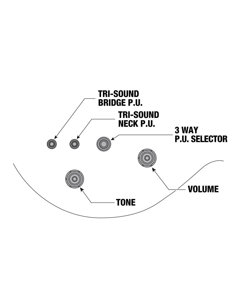 Ibanez AR520HME-NT AR Electric Guitar 6-String - Natural