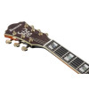 Ibanez AS113-BS Artstar AS Hollow Body Guitar 6-String - Brown Sunburst + Case