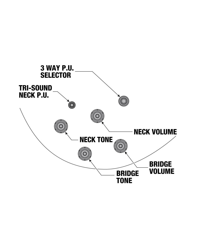 Ibanez AS113B-TBC Artstar AS Hollow Body Guitar 6-String - Tabacco Brown + Case