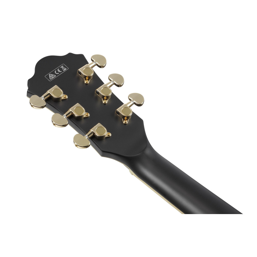 Ibanez AS73G-BKF Artcore AS Hollow Body Guitar 6-String - Black Flat