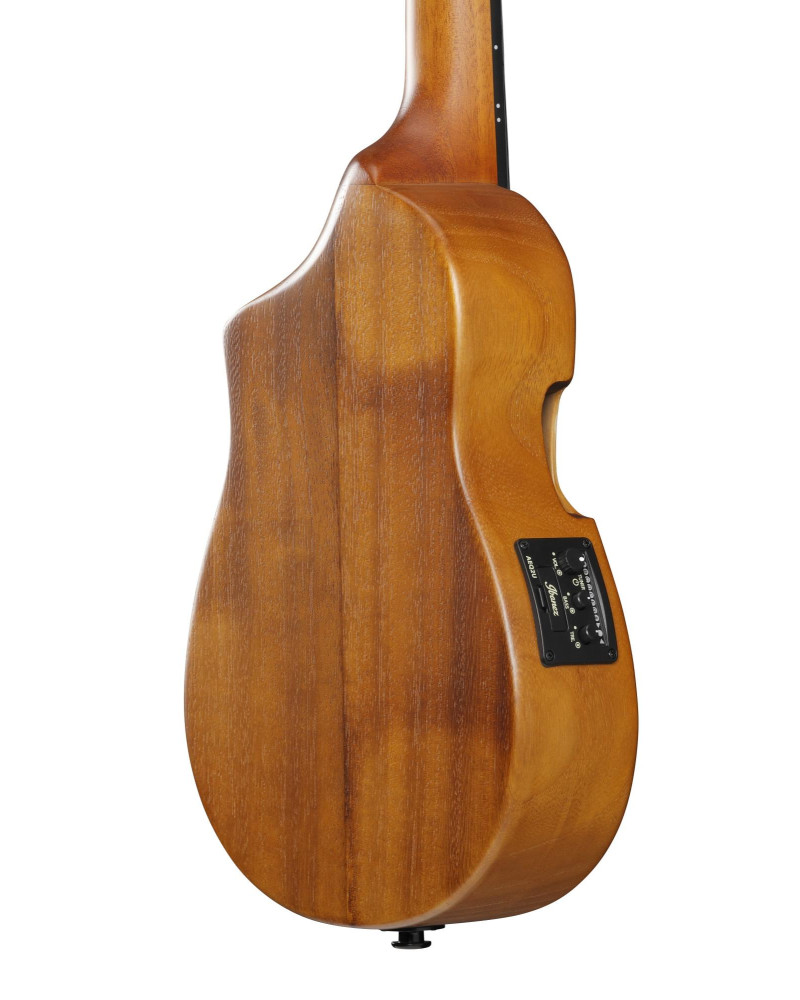 Ibanez AUC10E-OPN AU Concert Ukulele 4-String - Open Pore Natural + Gig Bag