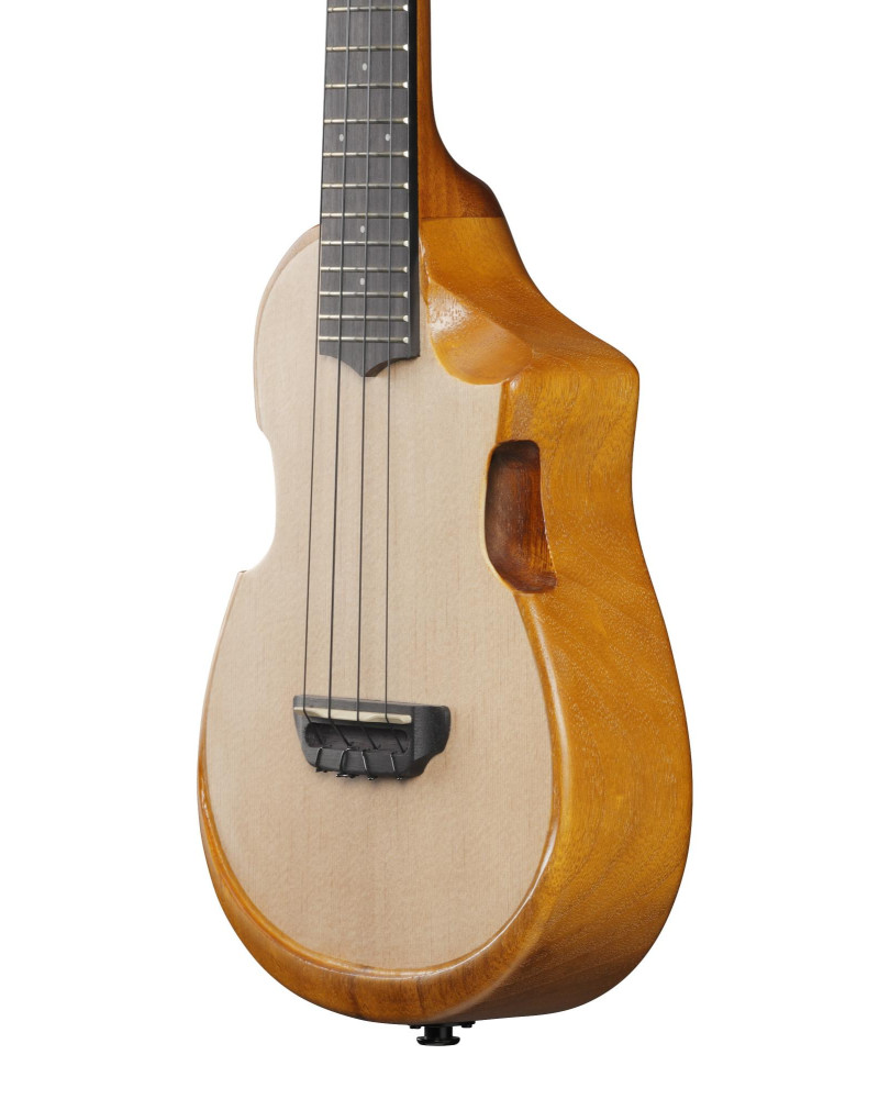 Ibanez AUC10E-OPN AU Concert Ukulele 4-String - Open Pore Natural + Gig Bag