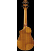 Ibanez AUC10E-OPN AU Concert Ukulele 4-String - Open Pore Natural + Gig Bag