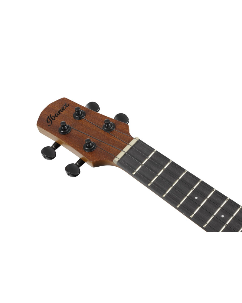 Ibanez AUC10E-OPN AU Concert Ukulele 4-String - Open Pore Natural + Gig Bag