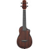 Ibanez AUC14-OVL AU Concert Ukulele 4-String - Open Pore Violin Sunburst + Gig Bag