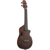 Ibanez AUC14-OVL AU Concert Ukulele 4-String - Open Pore Violin Sunburst + Gig Bag