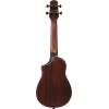 Ibanez AUC14-OVL AU Concert Ukulele 4-String - Open Pore Violin Sunburst + Gig Bag