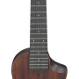 Ibanez AUC14-OVL AU Concert Ukulele 4-String - Open Pore Violin Sunburst + Gig Bag