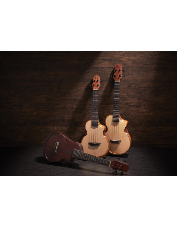 Ibanez AUT10-OPN AU Tenor Ukulele - Open Pore Natural + Gig Bag