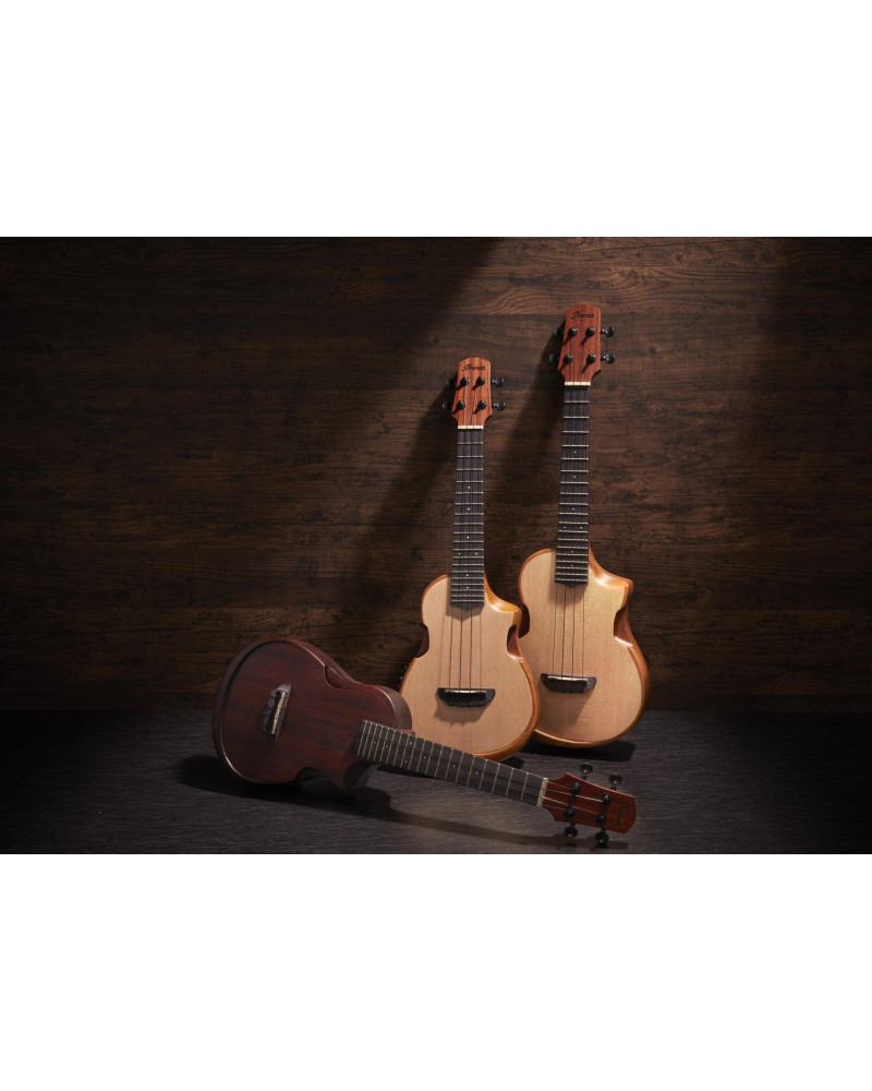 Ibanez AUT10-OPN AU Tenor Ukulele - Open Pore Natural + Gig Bag