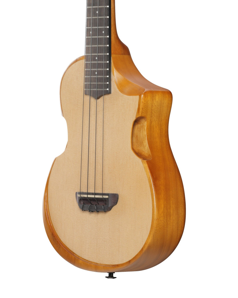 Ibanez AUT10-OPN AU Tenor Ukulele - Open Pore Natural + Gig Bag