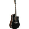 Ibanez AW391RCE-BKH Artwood  AW Acoustic Guitar 6-String - Black Top, Natural High Gloss Back and Sides