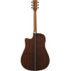 Ibanez AW391RCE-BKH Artwood  AW Acoustic Guitar 6-String - Black Top, Natural High Gloss Back and Sides