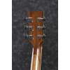 Ibanez AW417CE-OPS Artwood AW Acoustic Guitar 6-String - Open Pore Semi Gloss