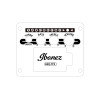 Ibanez AW417CE-OPS Artwood AW Acoustic Guitar 6-String - Open Pore Semi Gloss