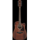 Ibanez AW5412CE-OPN Artwood AW Acoustic Guitar 12-String - Open Pore Natural