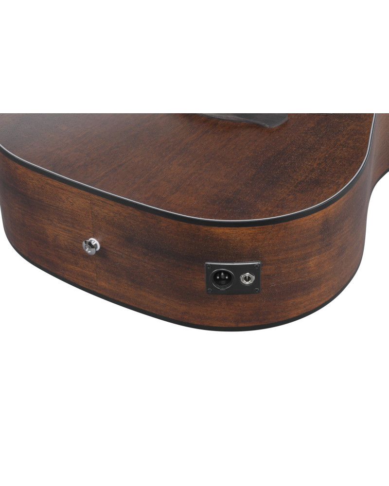 Ibanez AW5412CE-OPN Artwood AW Acoustic Guitar 12-String - Open Pore Natural