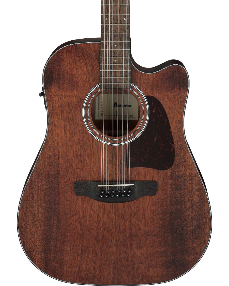 Ibanez AW5412CE-OPN Artwood AW Acoustic Guitar 12-String - Open Pore Natural