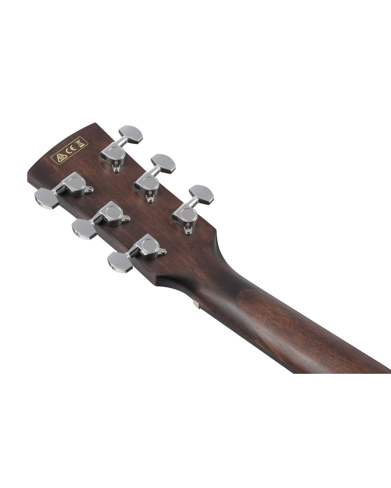 Ibanez AW54CE-OPN Artwood AW Acoustic Guitar 6-String - Open Pore Natural