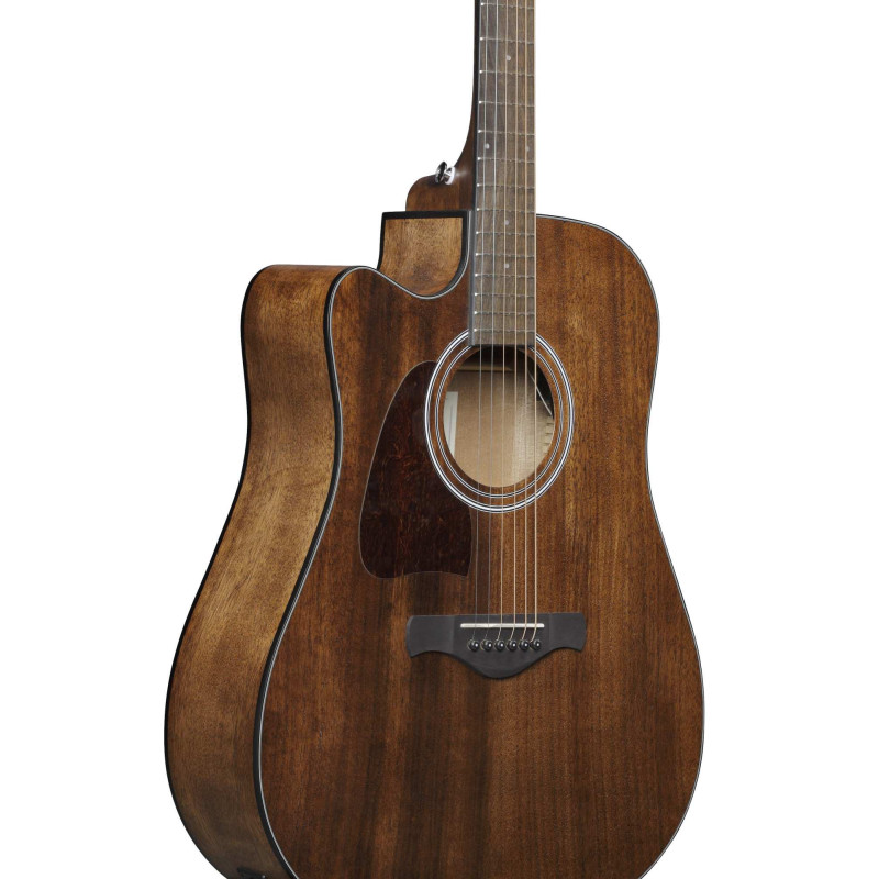 Ibanez AW54LCE-OPN Artwood AW Acoustic Guitar 6-String Lefty - Open Pore Natural
