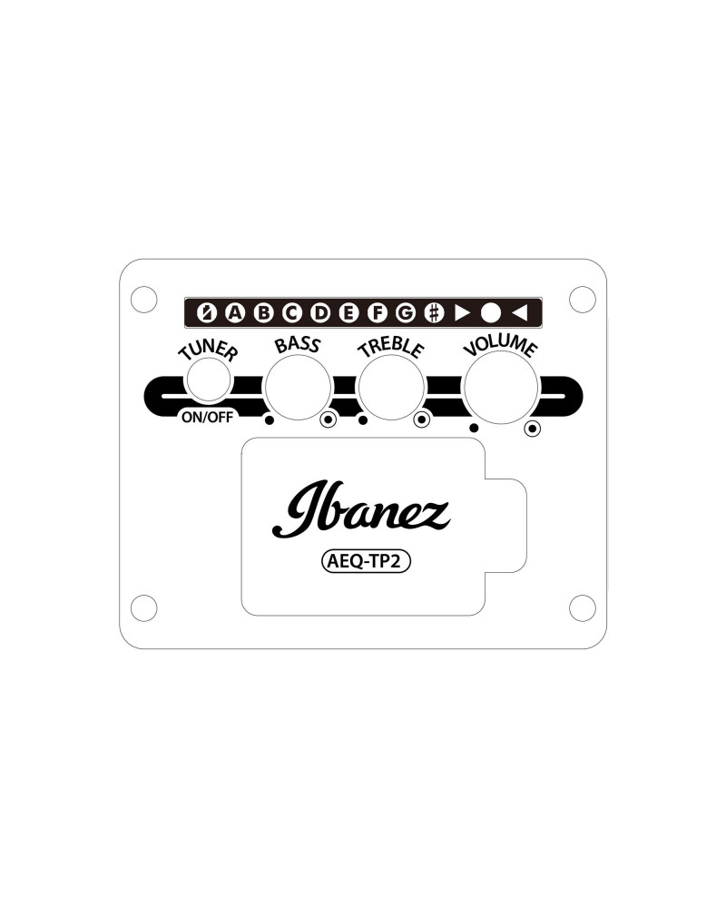 Ibanez AW8412CE-WK Artwood AW Acoustic Guitar 12-String - Weathered Black