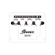 Ibanez AW8412CE-WK Artwood AW Acoustic Guitar 12-String - Weathered Black