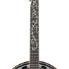 Ibanez B200 Banjo 5-String