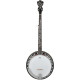 Ibanez B200 Banjo 5-String