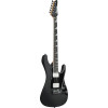Ibanez BER10 Bernth Signature Electric Guitar 6-String + Gig Bag