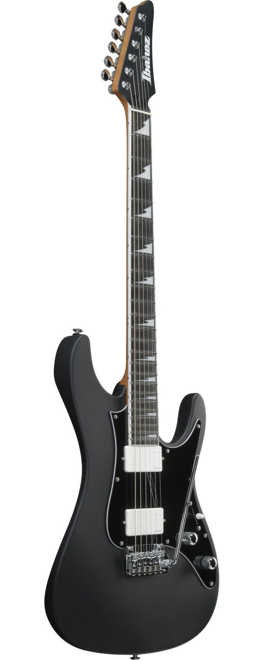 Ibanez BER10 Bernth Signature Electric Guitar 6-String + Gig Bag
