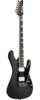 Ibanez BER10 Bernth Signature Electric Guitar 6-String + Gig Bag