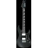 Ibanez BER10 Bernth Signature Electric Guitar 6-String + Gig Bag