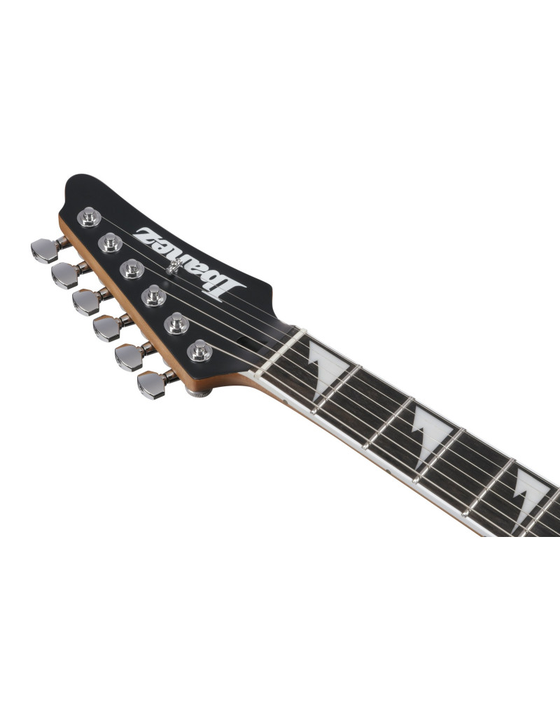Ibanez BER10 Bernth Signature Electric Guitar 6-String + Gig Bag