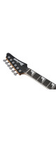 Ibanez BER10 Bernth Signature Electric Guitar 6-String + Gig Bag