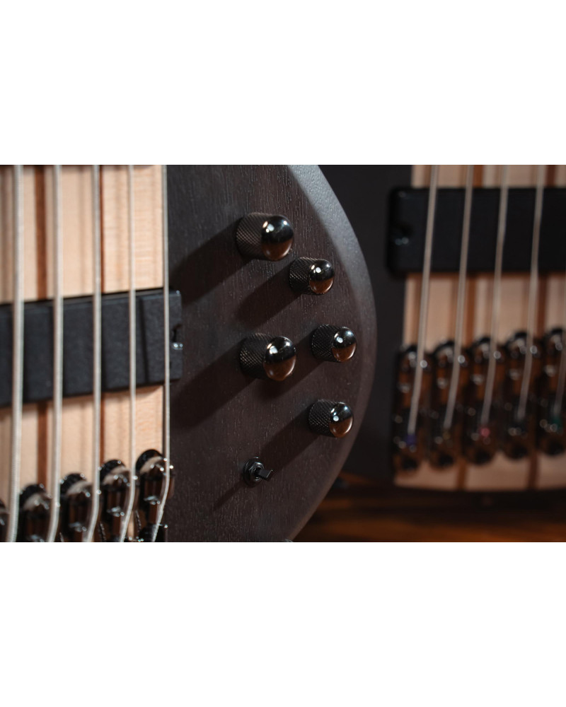 Ibanez BTB605-TGF BTB Electric Bass 5-String - Transparent Gray Flat