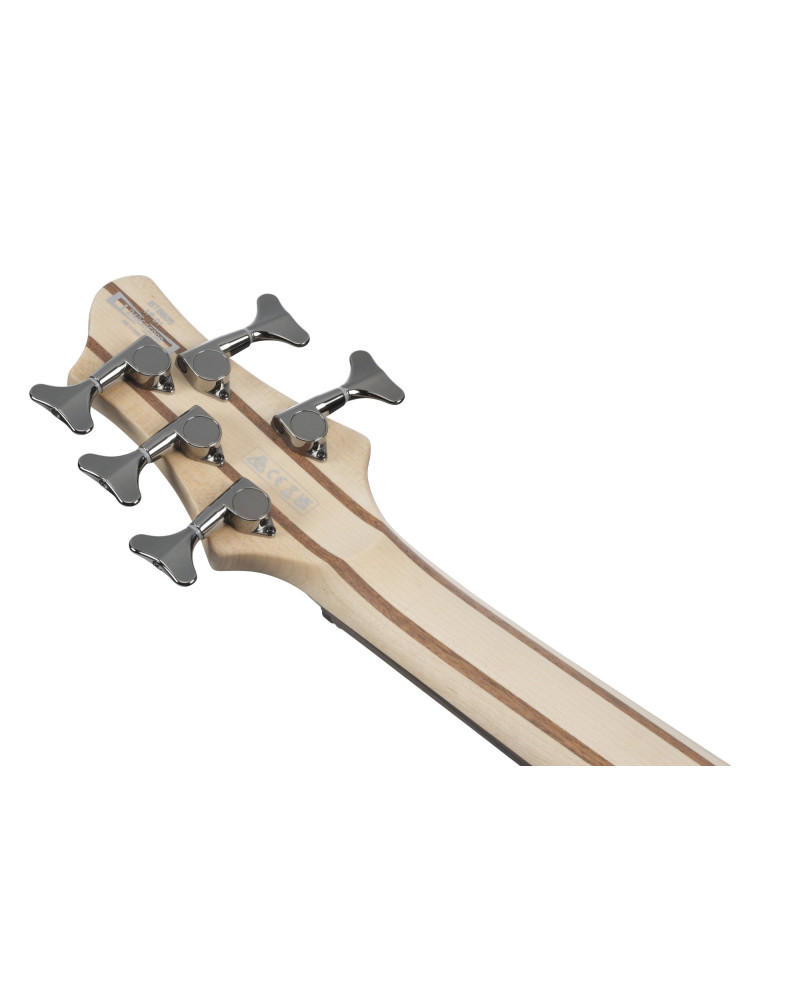 Ibanez BTB605-TGF BTB Electric Bass 5-String - Transparent Gray Flat