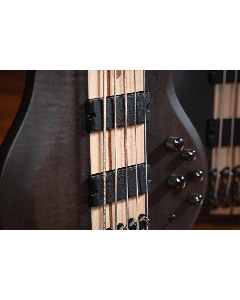 Ibanez BTB606-TGF BTB Electric Bass 6-String - Transparent Gray Flat