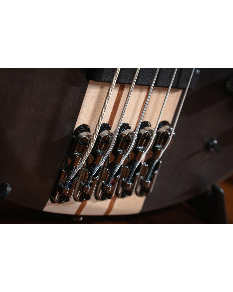 Ibanez BTB606-TGF BTB Electric Bass 6-String - Transparent Gray Flat