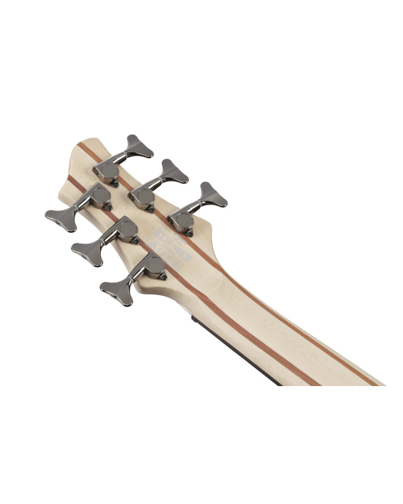 Ibanez BTB606-TGF BTB Electric Bass 6-String - Transparent Gray Flat