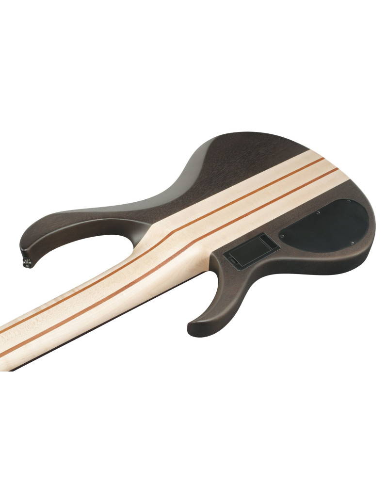 Ibanez BTB606-TGF BTB Electric Bass 6-String - Transparent Gray Flat