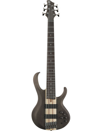 Ibanez BTB606-TGF BTB Electric Bass 6-String - Transparent Gray Flat