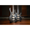 Ibanez BTB606-TGF BTB Electric Bass 6-String - Transparent Gray Flat