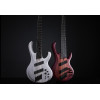 Ibanez BTB865MS-TWF Bass Workshop BTB Electric Bass 5-String - Transparent White Flat + Case