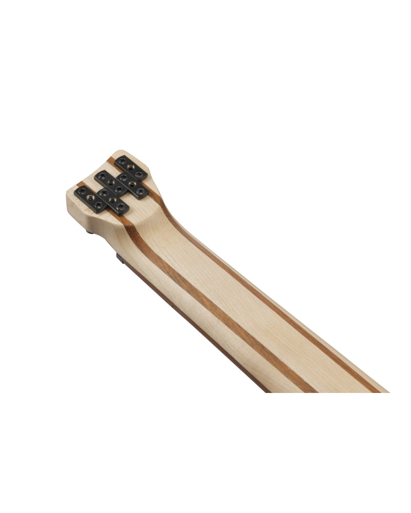 Ibanez EHB605-PRM Bass Workshop EHB Electric Bass 5-String - Purist Blue Matte