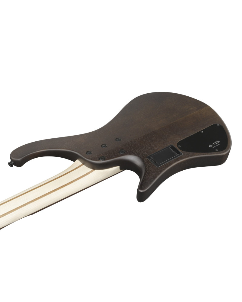Ibanez EHB605-WNF Bass Workshop EHB Electric Bass 5-String - Walnut Flat