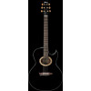 Ibanez EP5-BP Steve Vai Signature Acoustic Guitar 6-String - Black Pearl