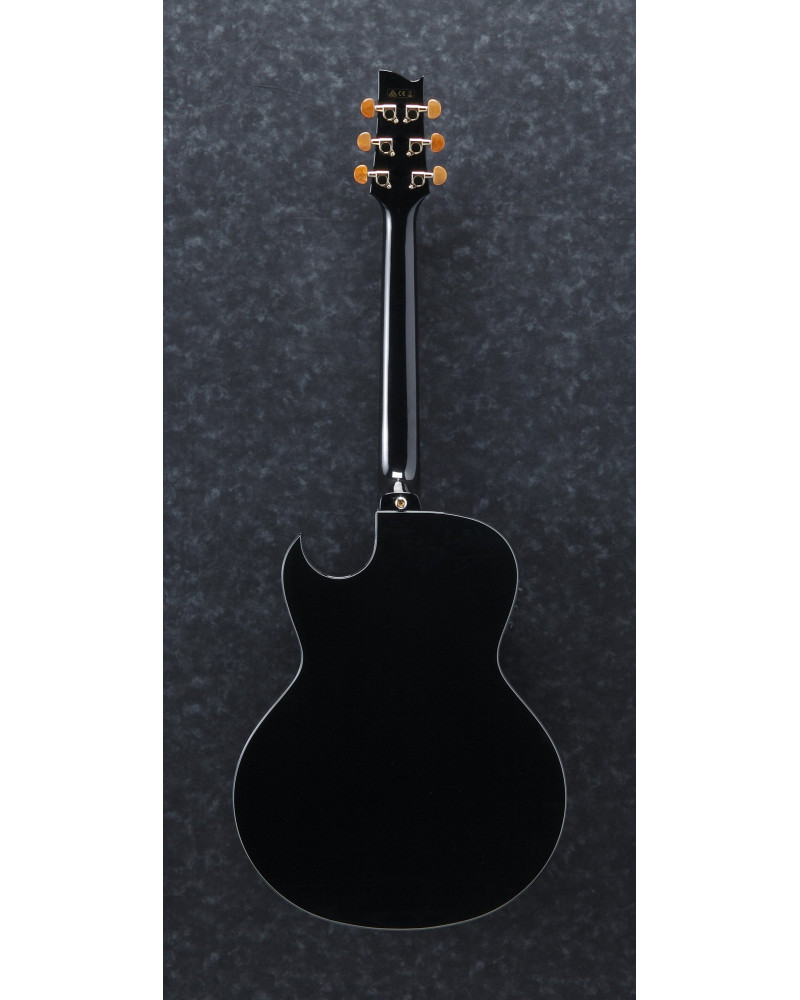 Ibanez EP5-BP Steve Vai Signature Acoustic Guitar 6-String - Black Pearl